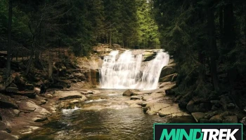Alivia Solutions Psychotherapy and Wellness - Orangeville