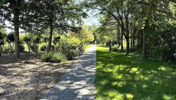 Blue Sky Holistic Psychotherapy - Etobicoke