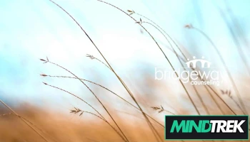 Bridgeway Counselling - Kitchener