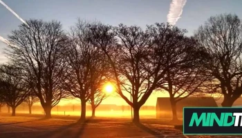 Discover Hope Counselling Services - Regina