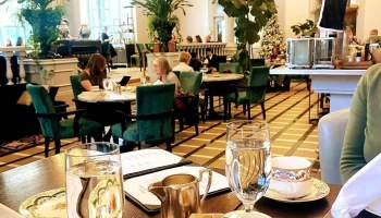Dr. Crystal Holly: Balance Psychology Chateau Laurier Location - 1 Rideau St