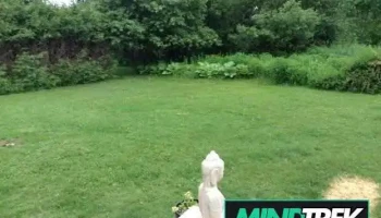 Ellen King's Source Healing - Minden