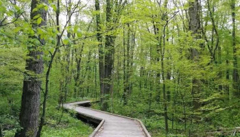 Etobicoke Counselling - Etobicoke
