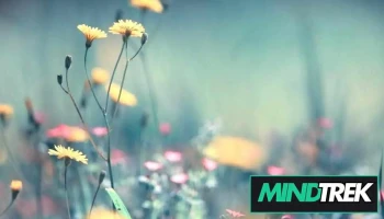 Evolution Therapies - Scarborough