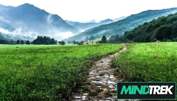 Journey Therapy Services - Canada