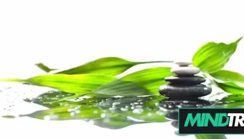 Leduc Counselling Connection - Leduc