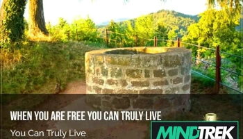 Living Well Counselling - 11410 27 St Se #30b