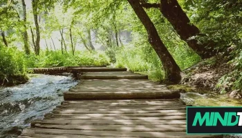 Mark Weitz Counselling - Concord