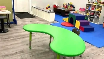 Nurturing Behaviours Inc. - Delaware