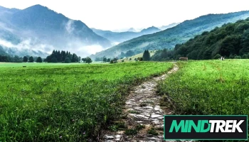 Pathways Psychotherapy and Counselling Services - Nepean