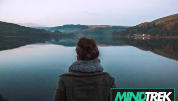 Reflection Counselling Services - Waterloo