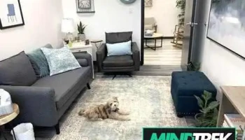 Thrive Psychology Inc - Red Deer