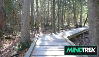 Turning Point Psychological Services - Thornhill