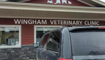 Wingham Veterinary Clinic - Wingham