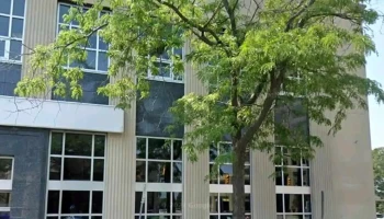 Youth Wellness Centre - Sarnia