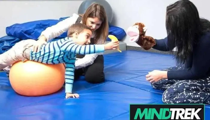 Achieve Therapy Centre -    Speech And Occupational Therapy For Kids All - Ottawa
