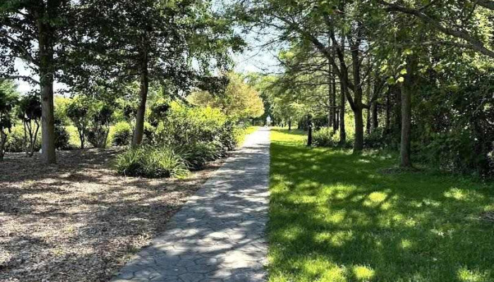 Blue Sky Holistic Psychotherapy - Etobicoke