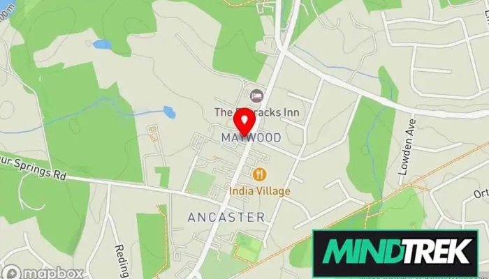 map of Bodywise Health & Rehab Chiropractor, Acupuncture clinic, Massage therapist, Physical therapist in Ancaster