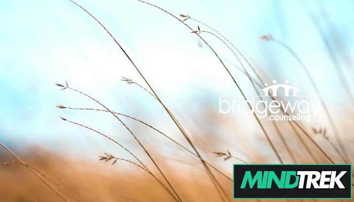 Bridgeway Counselling - Kitchener