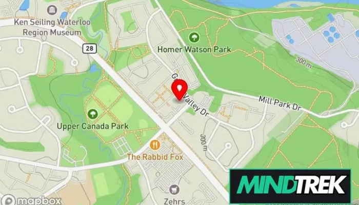 Calming Tree Counselling -  Map - Kitchener
