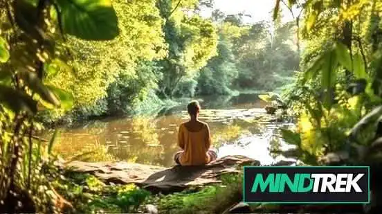 Clear Path Psychotherapy - Ottawa