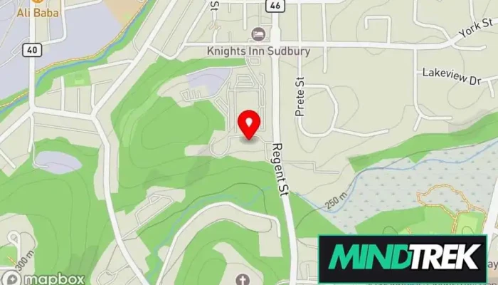 Cognitive Alignment -  Map - Greater Sudbury