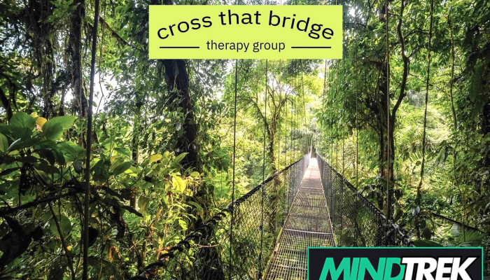 Cross That Bridge Therapy Group - Woodstock