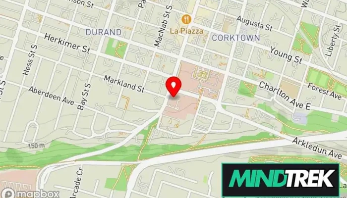 Dr Meir Steiner Map - Hamilton