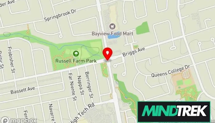 Dr Tali Shenfield Cpsych Map - Richmond Hill