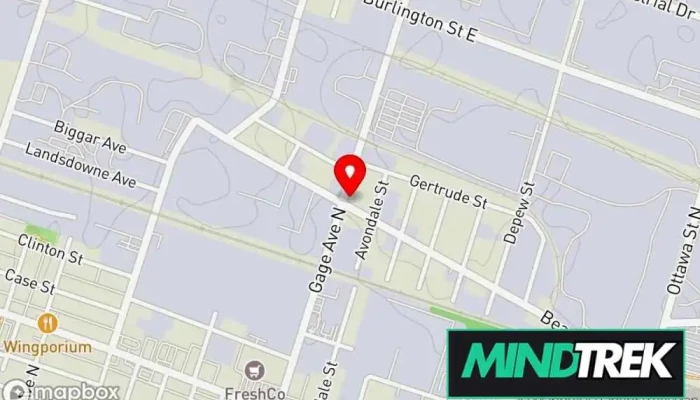 Efit Institute Map - Hamilton