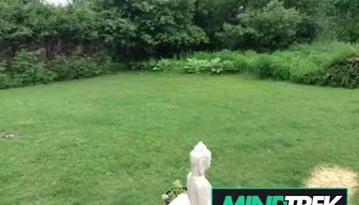 Ellen King's Source Healing - Minden