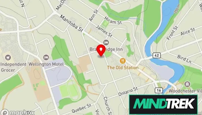 Holistic Health Psychotherapy And Wellness Formerly Vanessa Lewis Counselling Map - Bracebridge