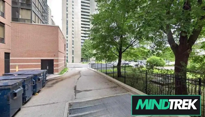 Life Pathways Psychotherapy - North York