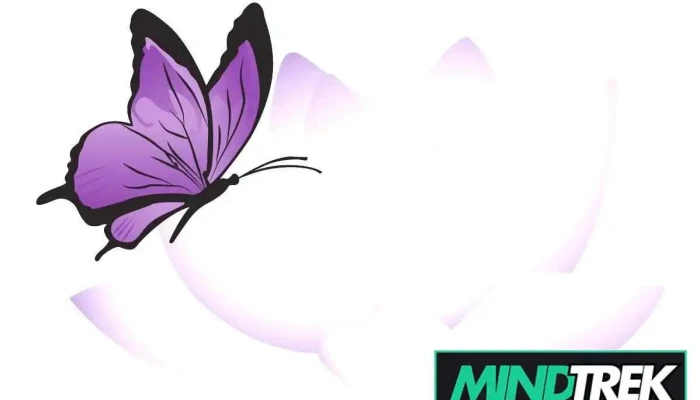 Lindsay O'Neil Trauma and Psychotherapy Services - Welland