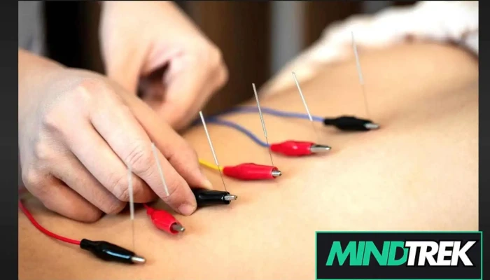 McDonald Chiropractic - Harriston