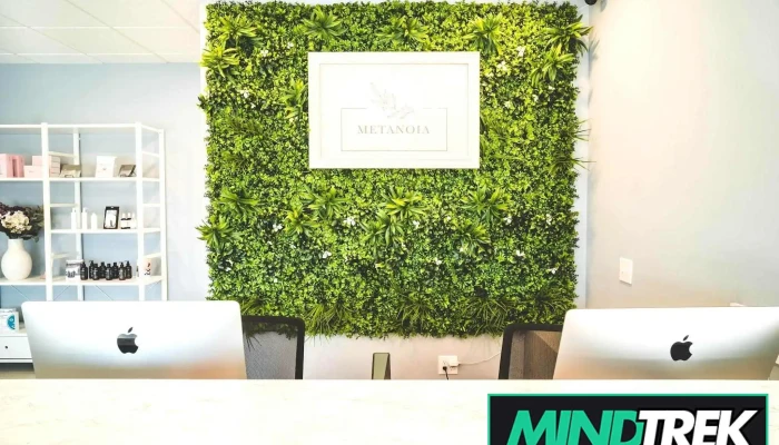 Metanoia Health Wellness By Owner - Windsor
