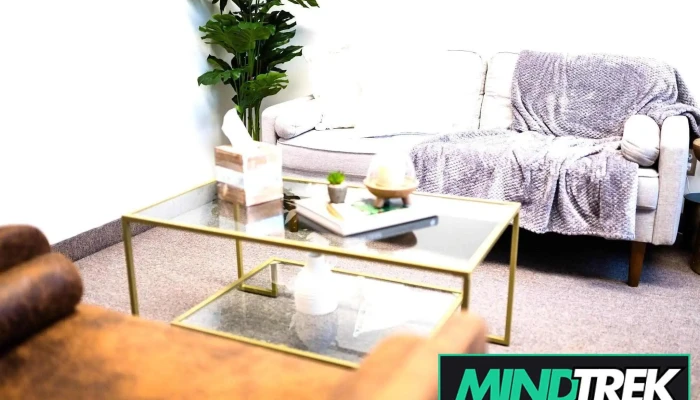 Mindful Insights Psychotherapy - Mississauga
