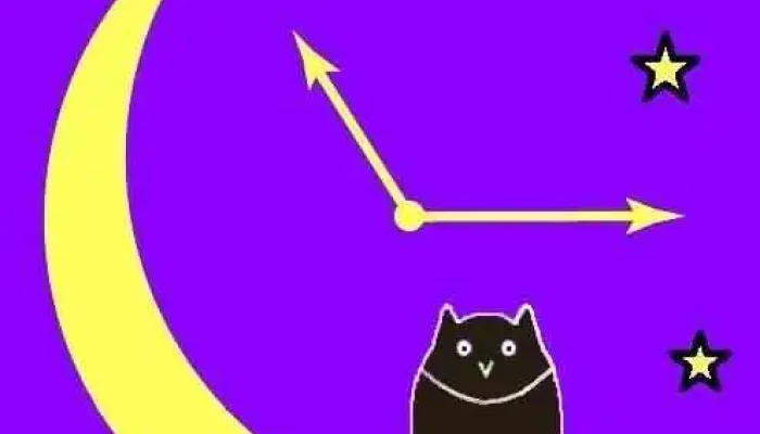 Night Owl Counseling -  By Owner - Kitchener