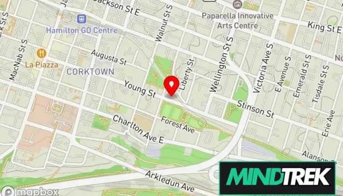 Noia Wellness Inc Psychotherapy Counselling Map - Hamilton