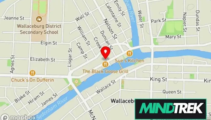 Pace Therapy And Counselling Services Map - Wallaceburg