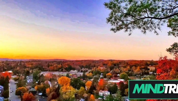 Psychological Recovery Clinic - North York