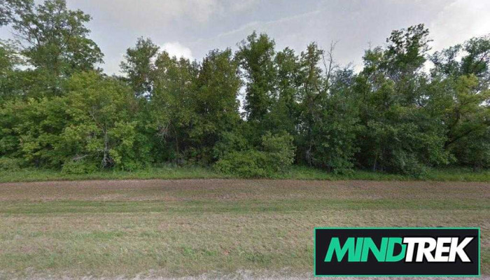 River Wood Counselling Services - Portage La Prairie