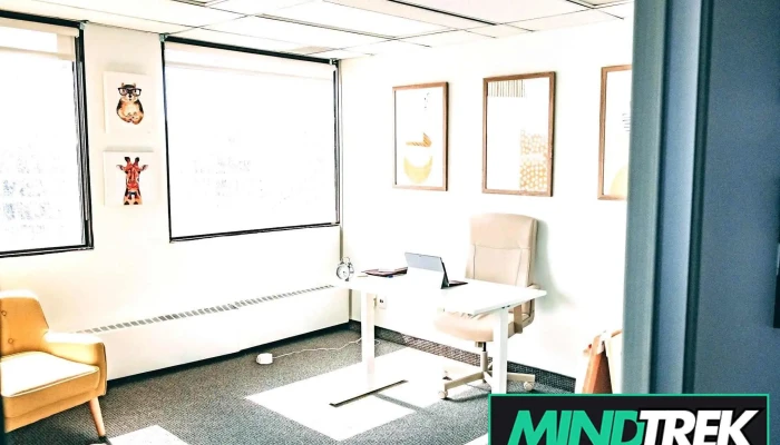 Rubiks Counselling Services - Ottawa