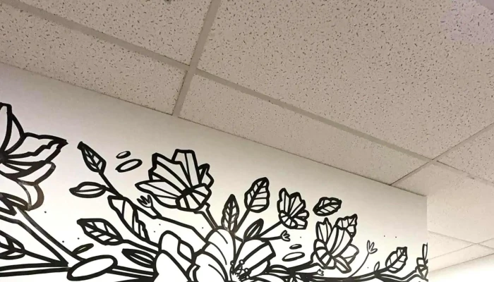 Shine Mental Health Collective -    Greenbank Rd Mental Health Service - Ottawa