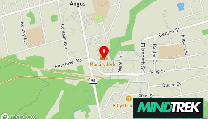 map of Stride Physiotherapy & Sports Rehabilitation Physical therapy clinic in Angus