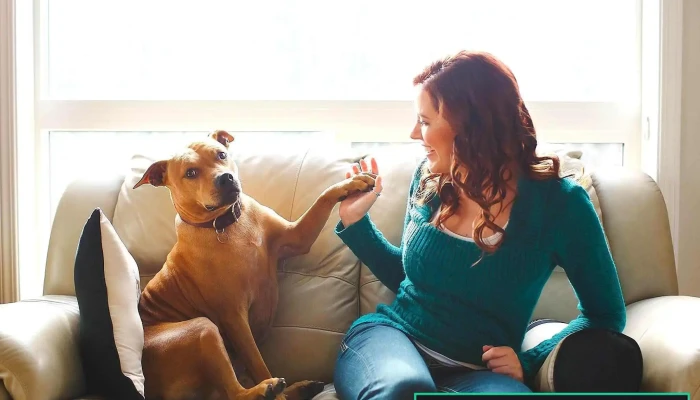 Summit Counselling Services - Edmonton