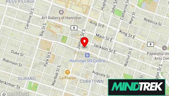 Ten Brinke Counseling Services -  Map - Hamilton