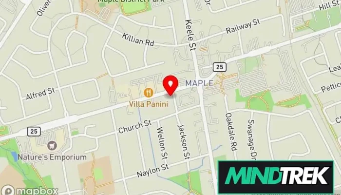 The Pain Wellness Centre Map - Vaughan