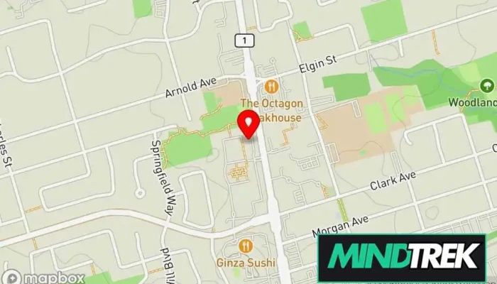 The Therapy Team -    Anxiety Therapy Vaughan Ontario Map - Vaughan