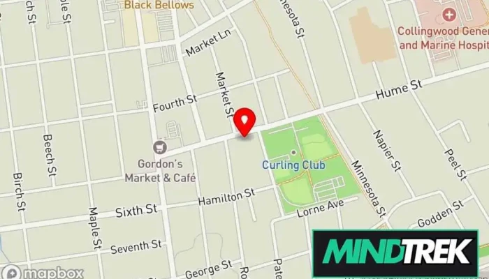 Thrive Chiropractic Holistic Care   Dr Melissa Longo Map - Collingwood